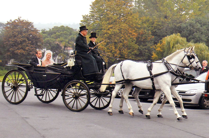 horsedrawn-carriage