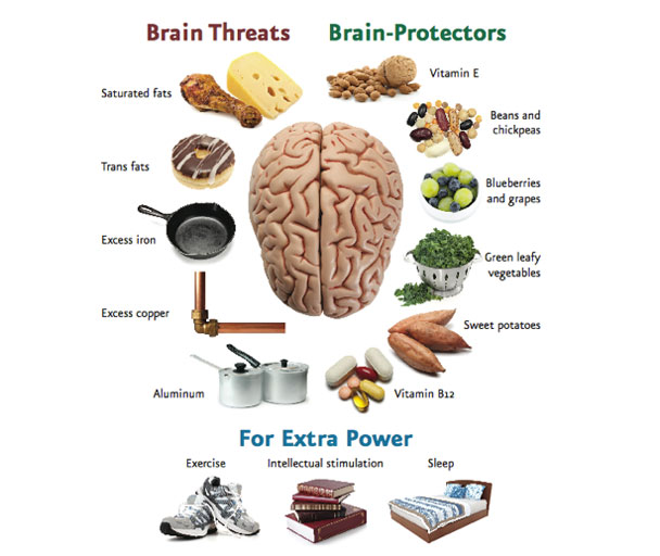 Brain Foods