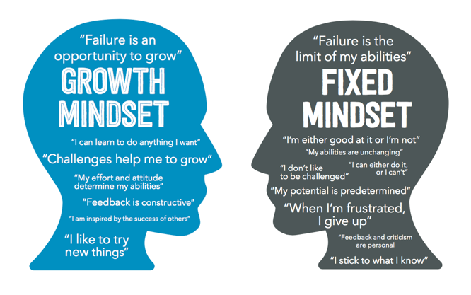 Mindset - Fixed Vs Growth